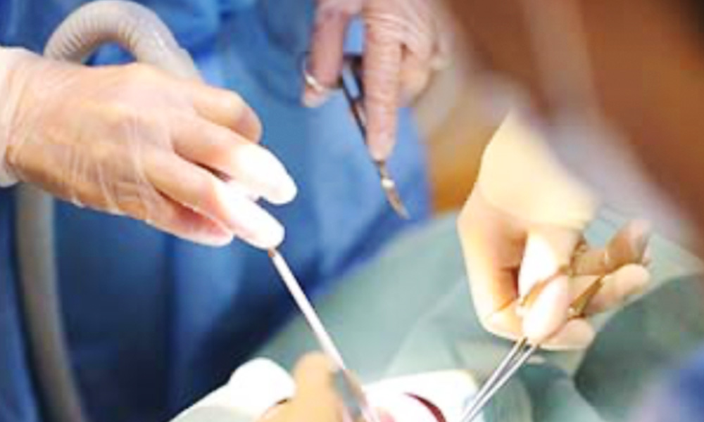 お口全体のチェック